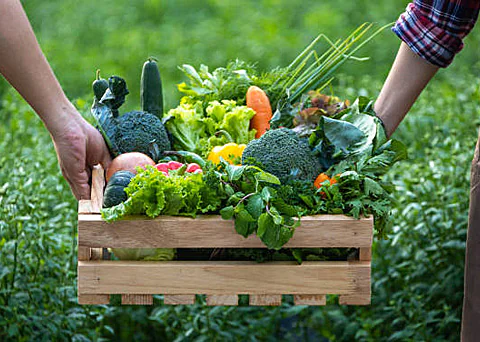 A box of vegetables A box of vegetables