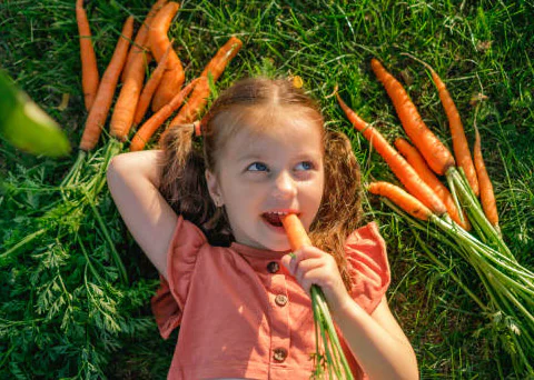 Carrot Carrot