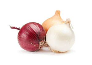 Onion