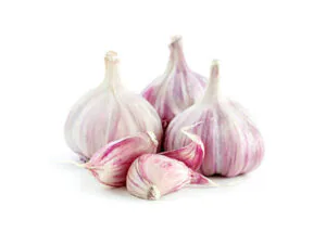 Garlic
