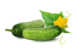 Cucumber