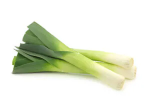 Leek
