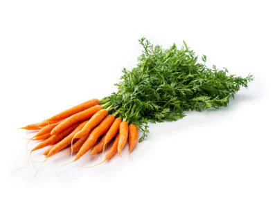Carrot