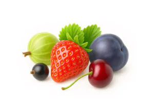 Fruit