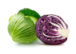 Cabbage