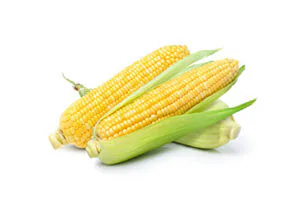 Corn