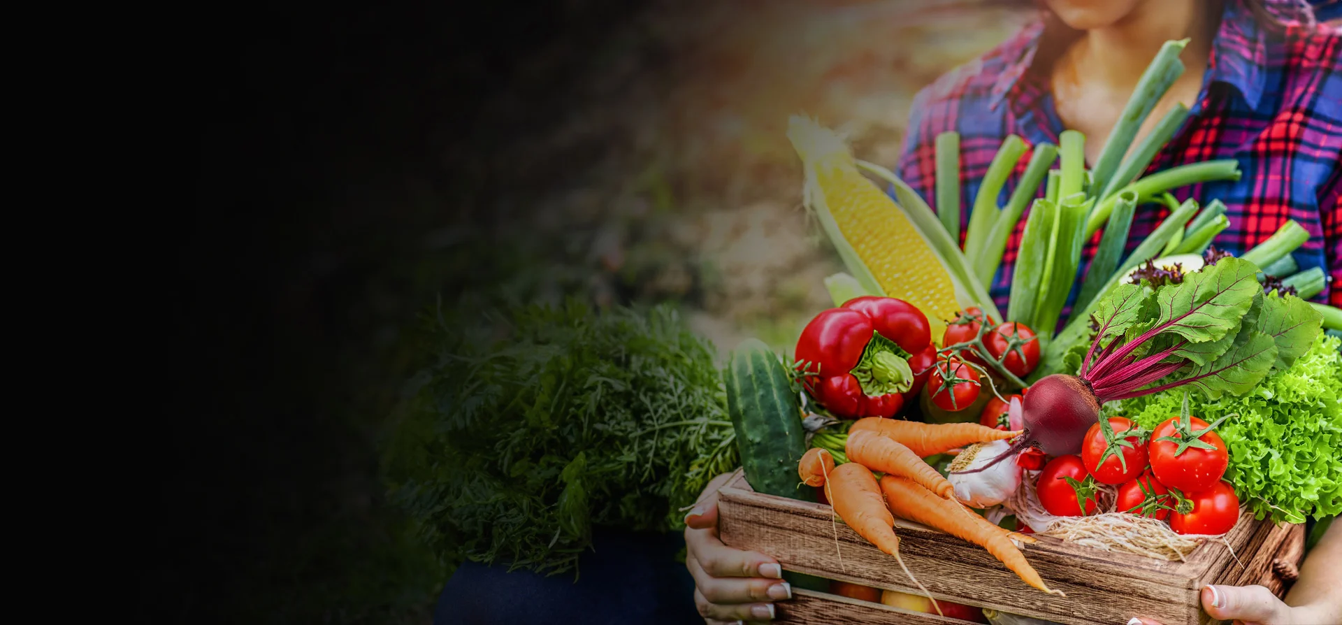 A box of vegetables